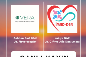 Sexuality in Marriage Physiotherapist\\\\\\\'s Perspective on Painful Sexual Intercourse